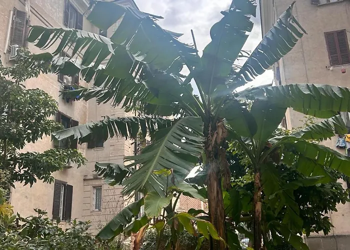 La Casa Di Testaccio * Roma